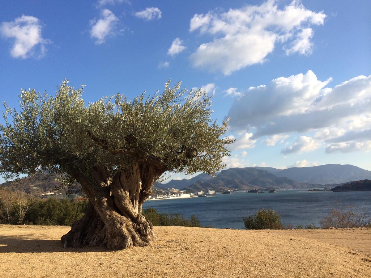 Shodoshima Seaside Hotel Matsukaze Tonosho  Εξωτερικό φωτογραφία